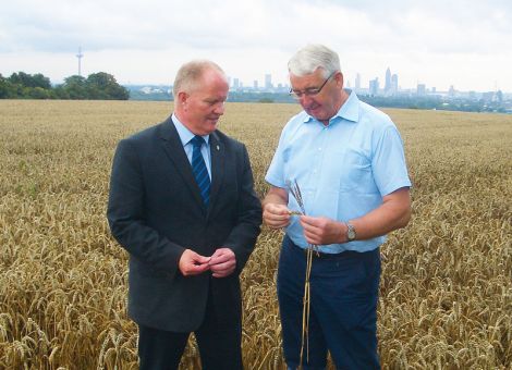 „Wir können keinen Regen mehr in dieser Ernte gebrauchen“