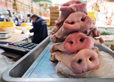 Schweinefleischimporte Asiens boomen