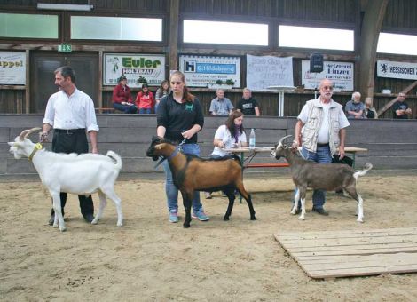 Letzten Ziegenbockmarkt in Butzbach durchgeführt