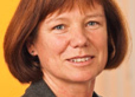 Möhrenernte gewinnt an Fahrt