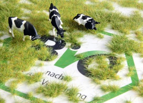 Bio-Milchpreise behaupten sich