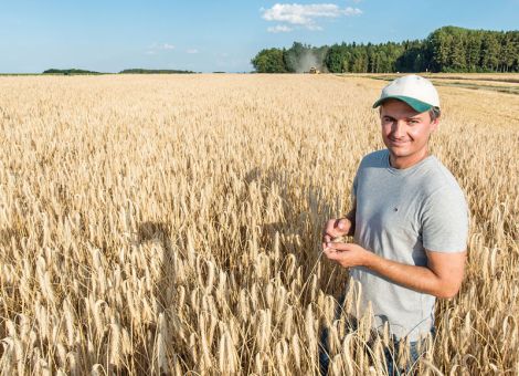 Empfindliche Ertragseinbußen auch beim Roggen