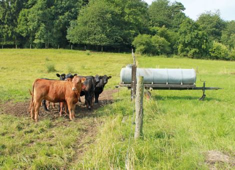Gefährliche Unfälle auf der Weide vermeiden