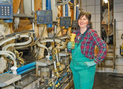 Milchpreise kommen in Bewegung