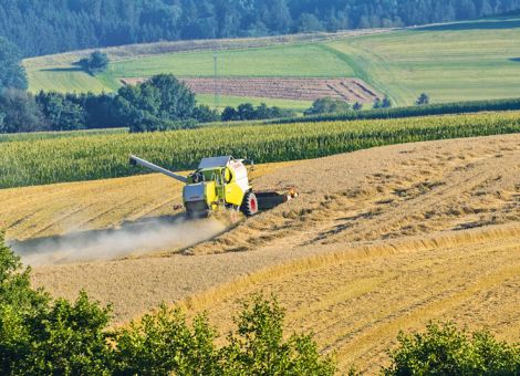Extensivierung ist kein Beitrag zum Klimaschutz