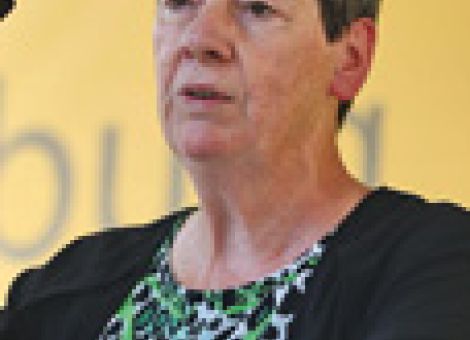 Hendricks will ökologische Neuausrichtung durchsetzen
