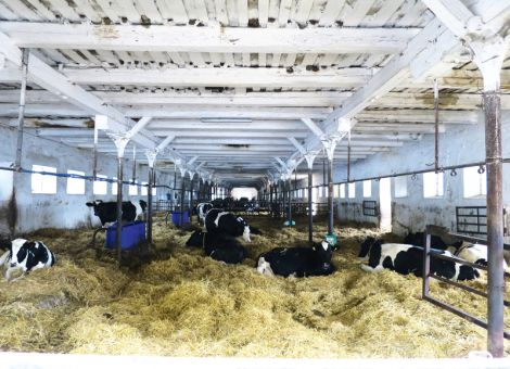 Die zwei Seiten der Landwirtschaft in Polen