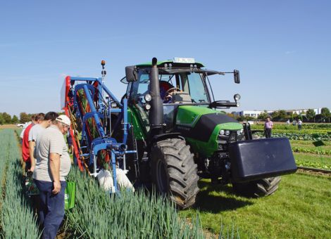 Bundzwiebel-Vollernter spart Handarbeit