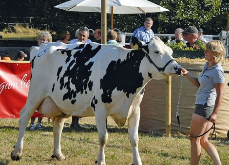 Mit der „Golden Girl“  erfolgreich im Taunus