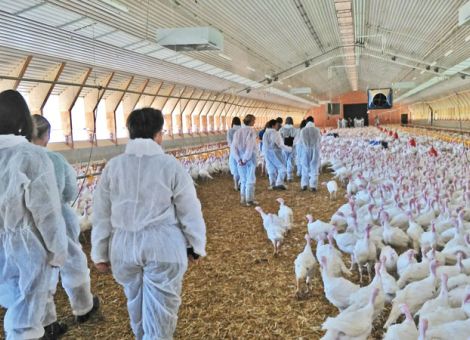 Multiplikatoren über moderne Landwirtschaft informieren