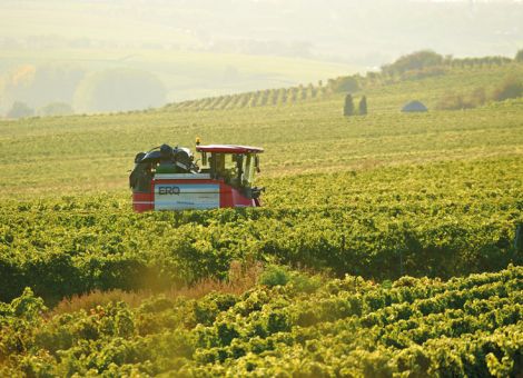 Gutes Ende in Rheinhessen