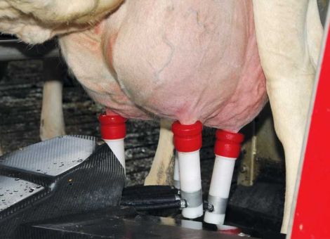 Sensortechnologie unterstützt die fünf Sinne des Melkers