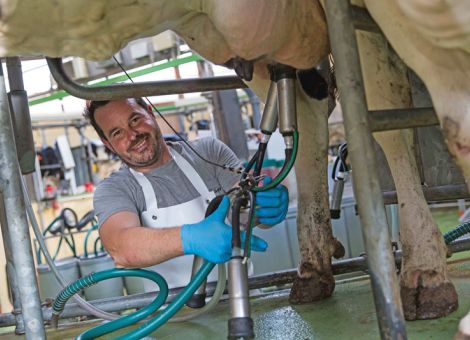Michael Dörr ist Landwirt des Jahres