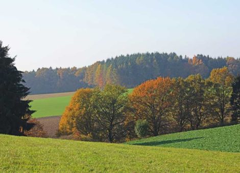 GAP unter wachsendem finanziellen Druck
