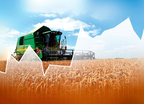 Die  Ernte 2016 – jetzt wird abgerechnet