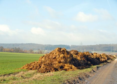 Zwischenlagerung ersetzt keine ordnungsgemäße Rotte