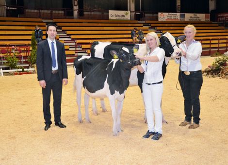 Hochklassiger Typwettbewerb in der Hessenhalle