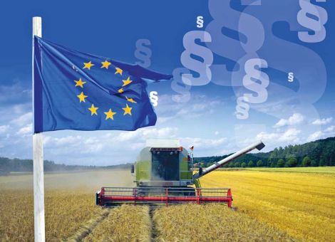 Erste Hinweise auf die EU-Agrarpolitik nach 2020