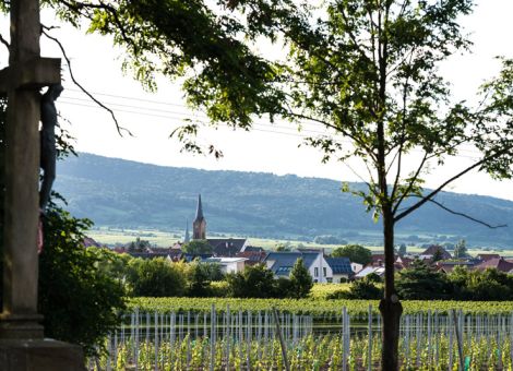 Ruppertsberger Weinkeller im Aufwind