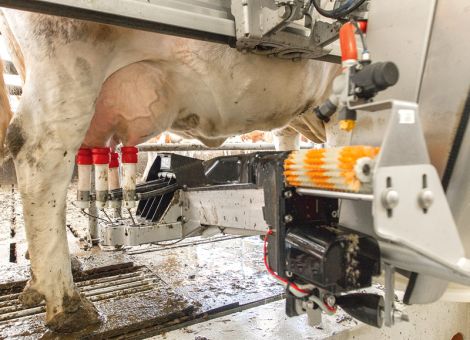 Mittlere Leistungen erneut gestiegen