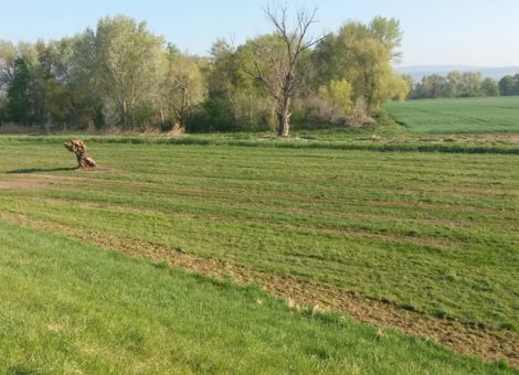 Naturschutz in die Produktion einfließen lassen