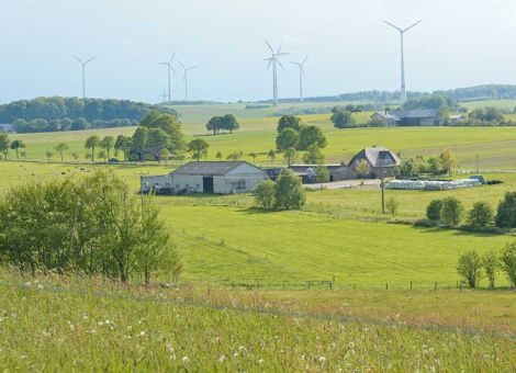 Wachstumsschwelle in Hessen bei mehr als 200 Hektar