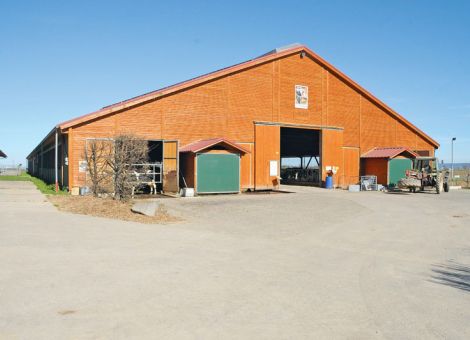 Mehr Mut zum Baustoff Holz