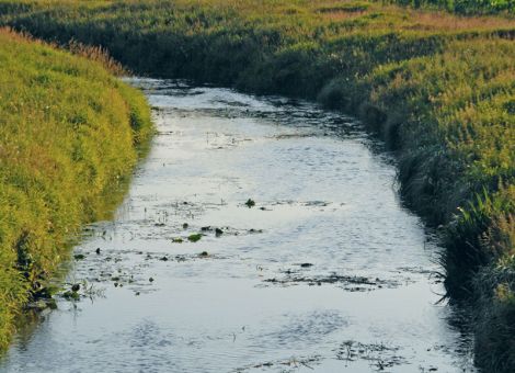 1,4 Mio. Hektar für ökologische Vorrangflächen