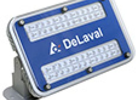 LED-Stalllampen – angenehmes Licht für Kühe