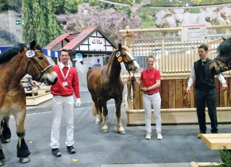 Erfolge für die Kaltblüter aus Hessen
