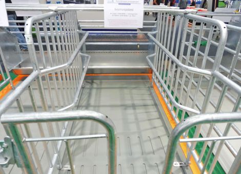 Das Kastenstand-Urteil – und wie geht es weiter?