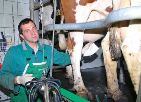 Kranke Euter kosten den Betrieb Geld