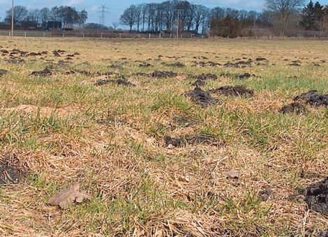 Nach dem Winter kommt die Pflege
