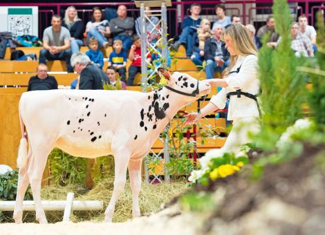 Sonderkollektion bei Zukunft Rind