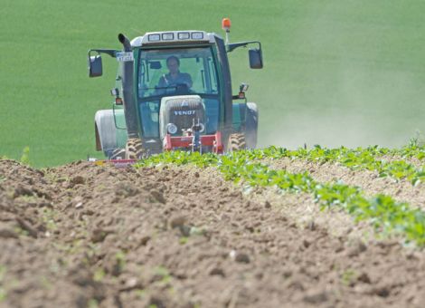 Bioproduktion und -handel kräftig gewachsen