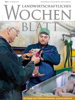 Ausgabe 8/2017