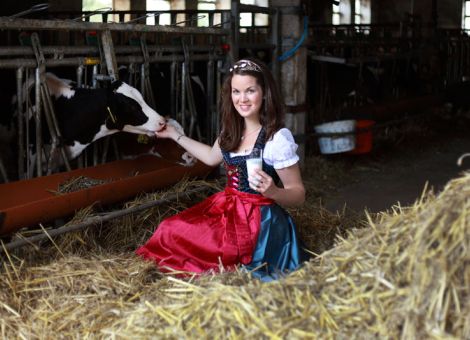 Milchkönigin gesucht