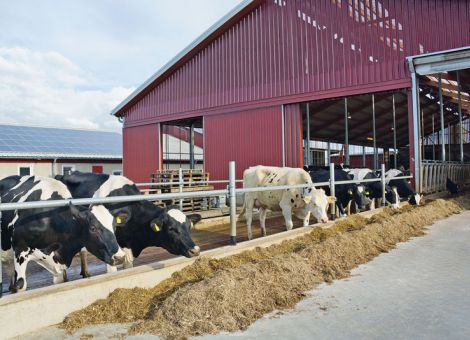 Öffentlichkeitsarbeit kann Chance für die Landwirte sein