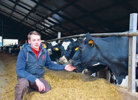 Jan Höhler neuer Vorsitzender der Limburger Rinderzüchter