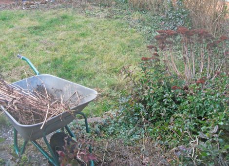 Frühjahrsputz im Garten