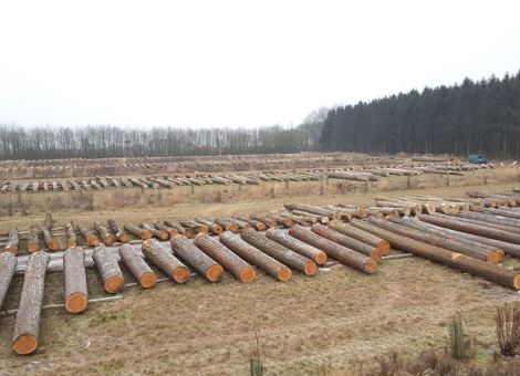 Das war ein guter Winter für die Waldarbeit