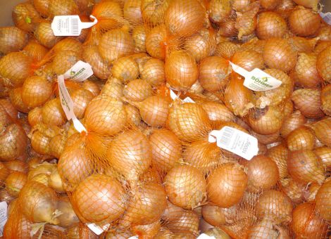 Anbauflächen für Zwiebeln steigen weltweit stetig