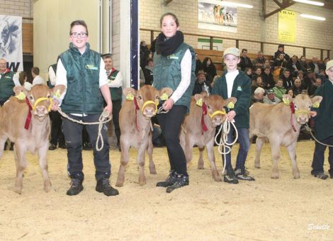 Ein „Muss“ nicht nur für Tierhalter