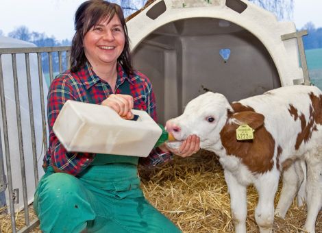 Frühe Kälberdurchfälle können viele Ursachen haben