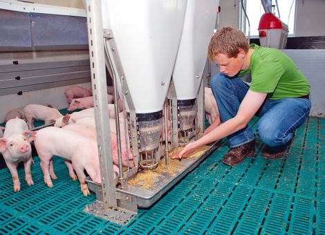 Teurer muss nicht immer besser sein