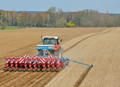 Es werden deutlich mehr Zuckerrüben angebaut