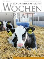 Ausgabe 13/2017