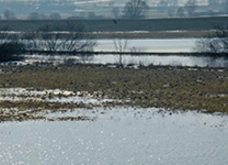 Hochwasserschutz darf nicht zu Lasten der Landwirte gehen