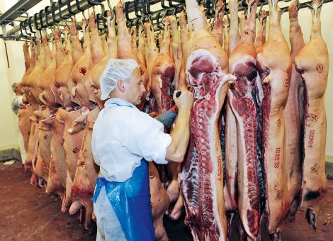 Höherer Konzentrationsgrad bei Schweineschlachtern