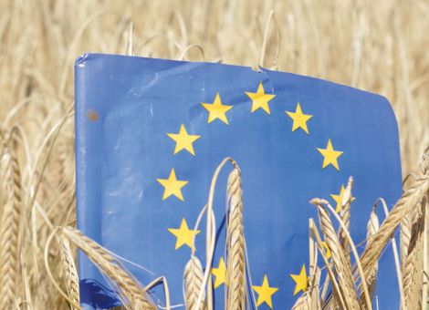 Bund und Länder streiten über Zukunft der GAP